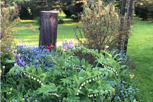 The Hidden Garden 2