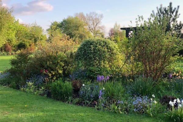 The Hidden Garden