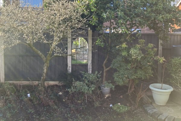 Bottom of garden with sunbeams