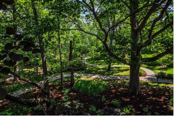 Green on Transfiguration Gardens