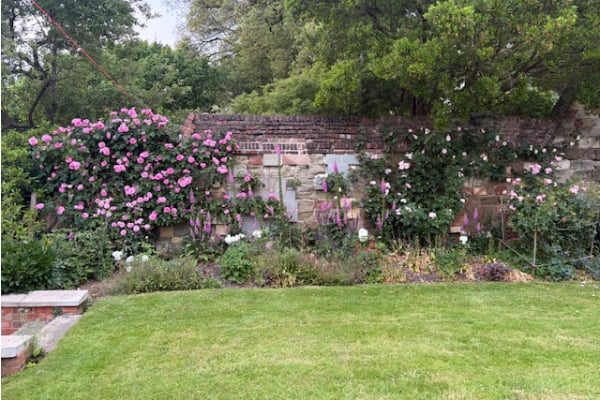 image0 (1)